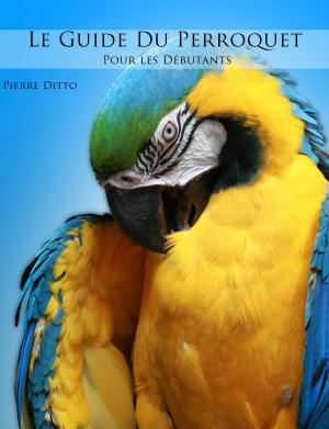 Cover of the book Le guide du Perroquet pour les débutants by Emma Philip