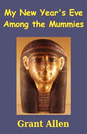 Cover of the book My New Year's Eve Among the Mummies by Max Brand