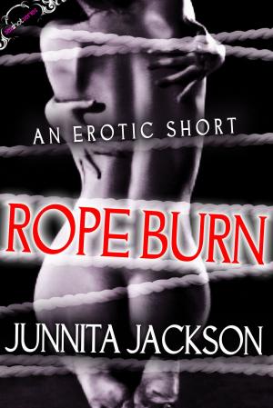 Book cover of Rope Burn