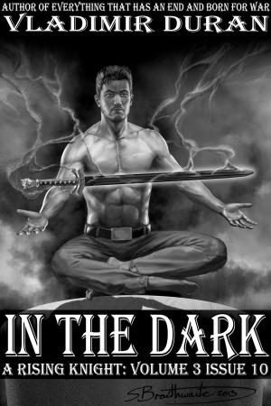 Cover of the book In The Dark by Ukpong Ito