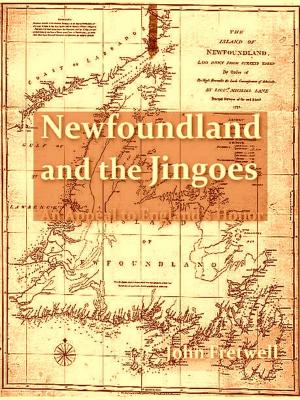 Book cover of Newfoundland and the Jingoes: An Appeal to England's Honor