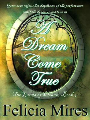 Cover of the book A Dream Come True by Felicia Mires