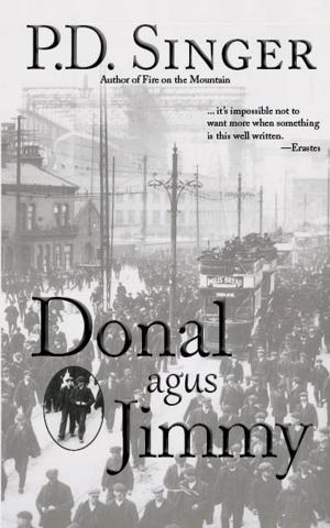 Book cover of Donal agus Jimmy
