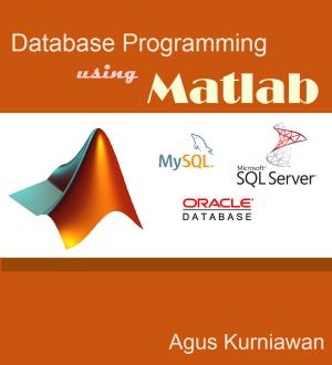 Cover of Database Programming Using Matlab