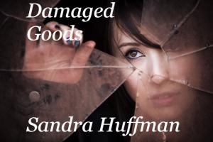 Cover of the book Damaged Goods by Kristin Colli
