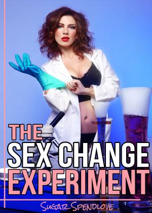 bigCover of the book The Sex Change Experiment by 