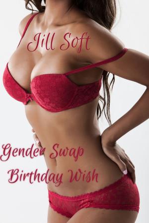 Cover of the book Gender Swap Birthday Wish by Claire Linden