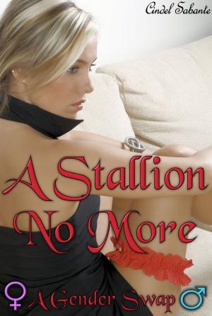 Cover of the book A Stallion No More - A Body Swap Romance by Beth Carpenter