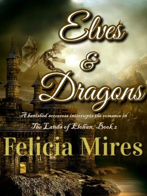 Cover of the book Elves & Dragons by J. M. Macchiavelli