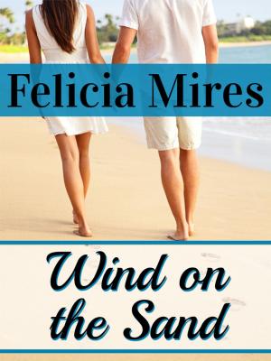 Cover of the book Wind on the Sand by Joshua Holmes
