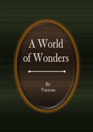 bigCover of the book A World of Wonders by 