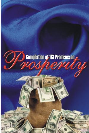Cover of the book PROSPERITY PROMISES by Danielle Freitag