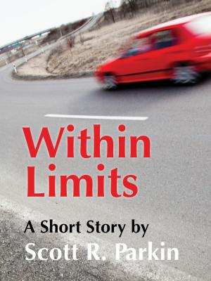 bigCover of the book Within Limits by 