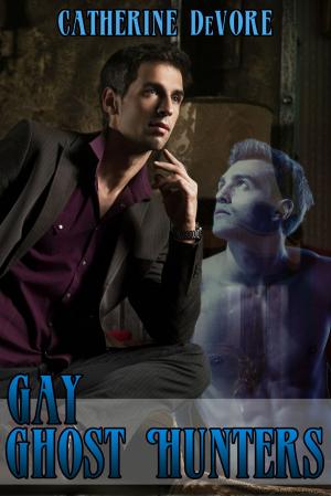 Cover of the book Gay Ghost Hunters by Amber Bourbon