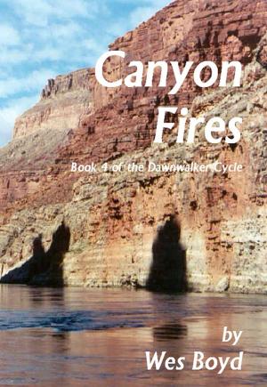 Cover of the book Canyon Fires by Wes Boyd