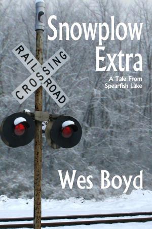 Cover of the book Snowplow Extra by Wes Boyd