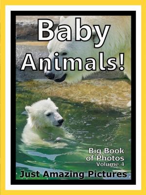 Book cover of Just Baby Animal Photos! Big Book of Photographs & Pictures of Baby Animals, Vol. 4
