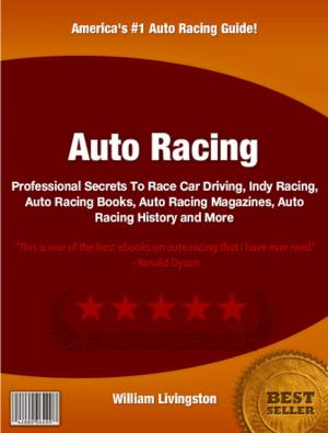 Cover of the book Auto Racing by Corey S. Herrera