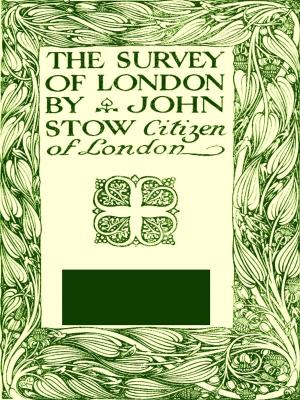 bigCover of the book The Survey of London by 
