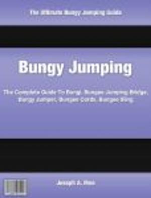 Cover of the book Bungy Jumping by Holly Smith
