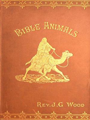 Cover of the book Bible Animals by Gilbert du Motier, Marquis de Lafayette