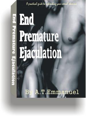 Book cover of End Premature Ejaculation