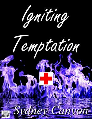 Cover of the book Igniting Temptation by Cade Brogan