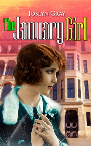 Cover of the book The January Girl by John Bustrak