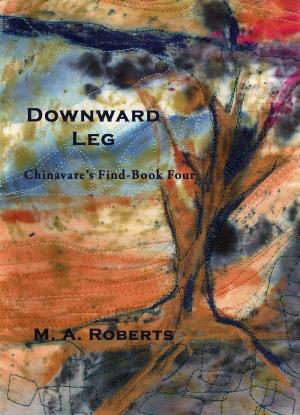 Cover of the book Downward Leg by R.G. Westerman