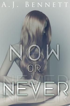 Cover of the book Now or Never by Megan O'Russell