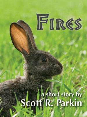 Book cover of Fires
