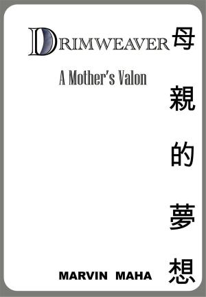 Cover of the book DRIMWEAVER by Daniel Vermillion