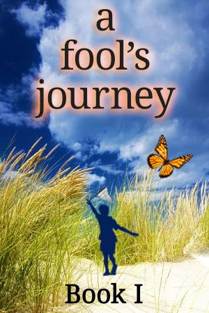 Cover of the book a fool's journey Book I by Margaret Hill