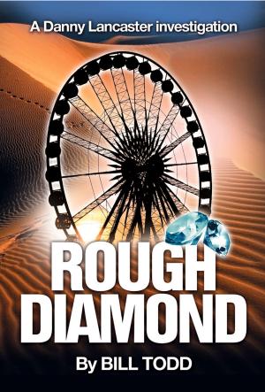 Cover of the book Rough Diamond by David Burton