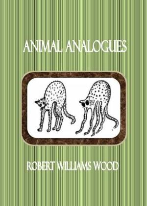 Cover of the book Animal Analogues by Nusaree C