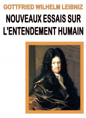 Cover of the book Nouveaux essais sur l'entendement humain by Théo Kosma