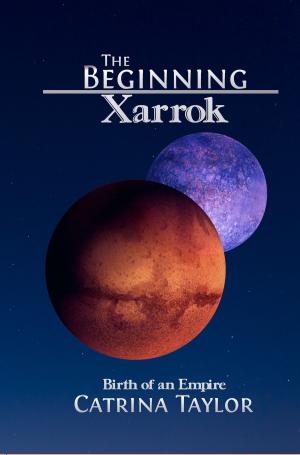 Cover of the book The Beginning by Jim Limber Davis