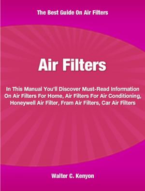Cover of the book Air Filters by Priscilla Davis