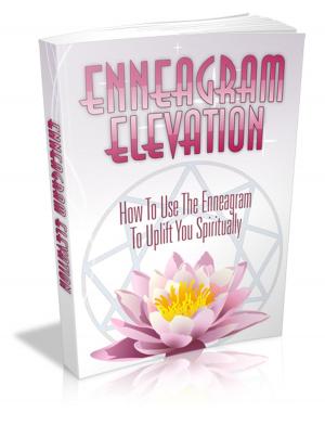 Book cover of Enneagram Elevation