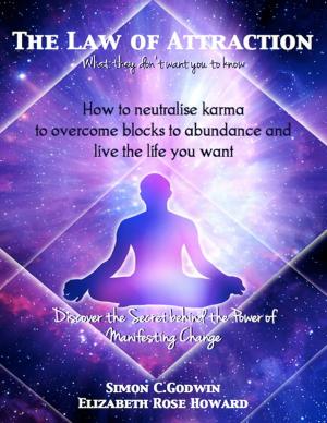 Book cover of The Law of Attraction: What They Don't Want You to know