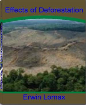 bigCover of the book Effects of Deforestation by 