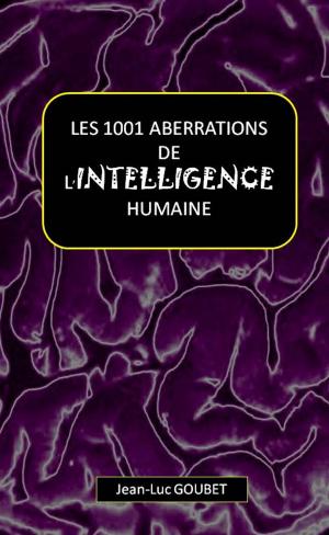 bigCover of the book LES 1001 ABERRATIONS DE L'INTELLIGENCE HUMAINE by 
