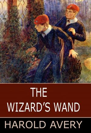 Book cover of The Wizard's Wand