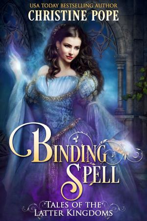 Cover of the book Binding Spell by Timothy J. Meyer