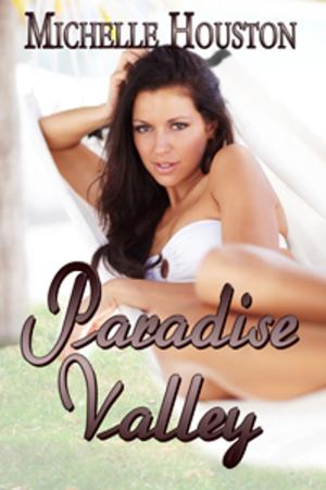 Cover of the book Paradise Valley by Ivy Sinclair