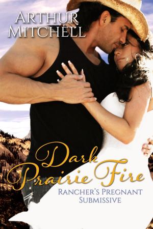 Cover of Dark Prairie Fire: Rancher's Pregnant Submissive