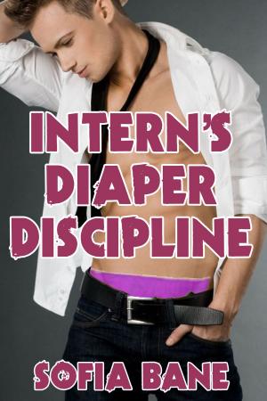 Book cover of Intern's Diaper Discipline