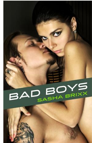 Cover of the book Bad Boys by Marisa Adams