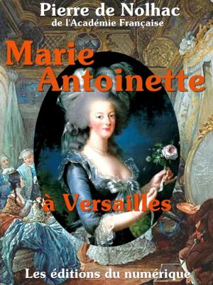 bigCover of the book Marie-Antoinette à Versailles by 