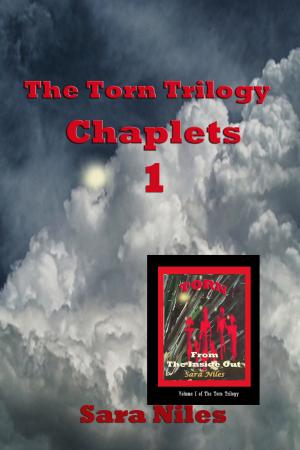 Cover of the book The Torn Trilogy Chaplets 1 by Eve Joy
